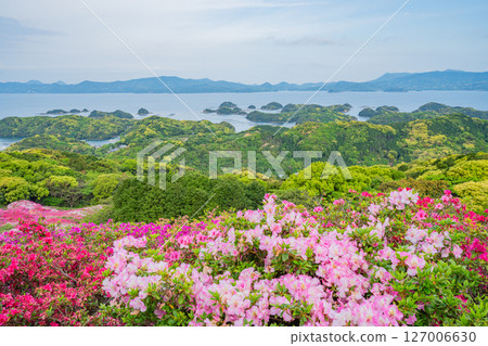 (Nagasaki Prefecture) Azaleas and the Kita-Kujukushima Islands at Nagushiyama Park, early morning (Nagasaki Prefecture) Azaleas and the Kita-Kujukushima Islands at Nagushiyama Park, early morning 127006630