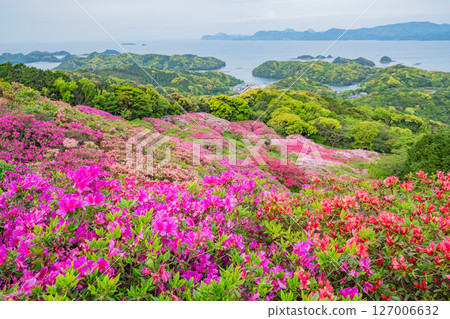 （長崎縣）長串山公園的杜鵑花和北九十九島，清晨 127006632