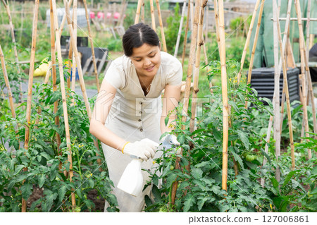 Woman works with garden spray in the yard. Treatment of plants with insecticides 127006861
