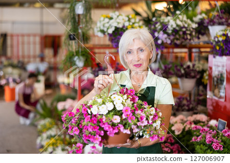 Smiling aged floral market saleswoman offering blooming petunia Smiling aged floral market saleswoman offering blooming petunia 127006907