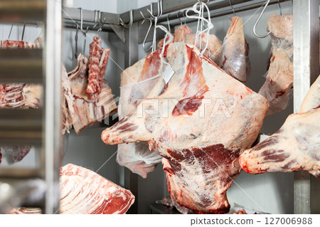 Slabs of raw beef hanging in meat storage of butcher shop Slabs of raw beef hanging in meat storage of butcher shop 127006988
