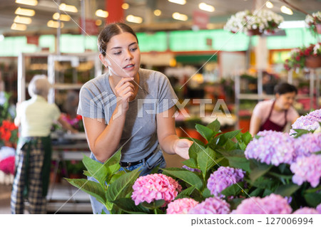 Young woman customer choosing bundle of hydrangea in open-air plants market 127006994