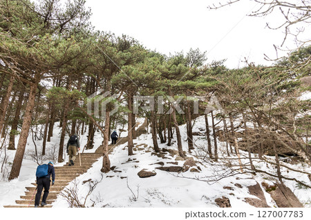 Unrecognized hikers hiking at Huangshan or Yellow Mountain in springtime, popular tourism landmark in China 127007783