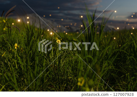 fly, fantasy, summer 127007928