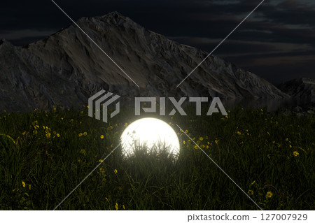 Glowing magic balls in the grass field, 3d 127007929