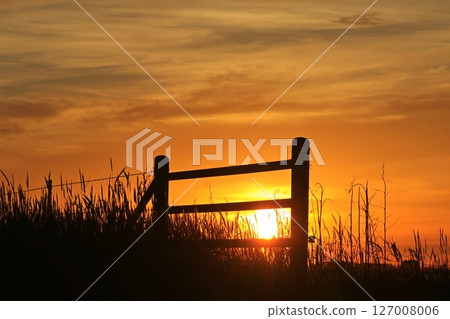 Kansas Golden Sunset with clouds and a fence silhouette Kansas Golden Sunset with clouds and a fence silhouette 127008006