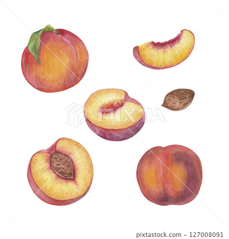 Peach fruit watercolor isolated on white background Peach fruit watercolor isolated on white background 127008091