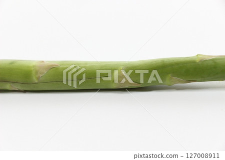 新鮮的蘆筍莖，白色背景下呈綠色，充滿活力 127008911