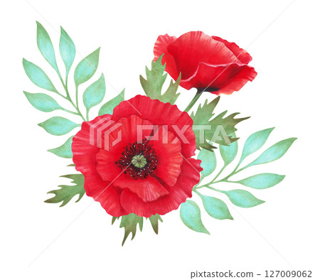 Red poppy composition with bud, turquoise branch. Botanical herbaceous plant art. Watercolor illustration. Hand drawn isolated art. Symbolism of memory and peace. Wild flowers for packaging, postcard. 127009062
