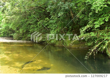 A quietly flowing river 127009217