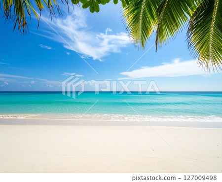 Emerald sea, sandy beach and palm trees Emerald sea, sandy beach and palm trees 127009498