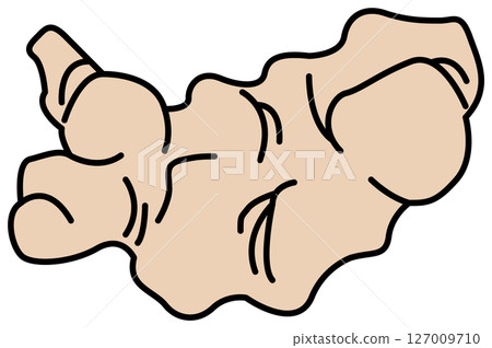 用平面顏色繪製的薑插圖 127009710