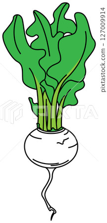用平面顏色繪製的蘿蔔插圖 127009914
