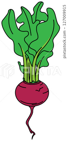 Turnip illustration drawn in flat colors 127009915
