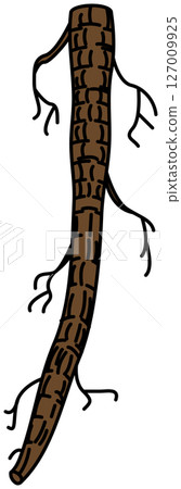 Burdock illustration drawn in flat color Burdock illustration drawn in flat color 127009925