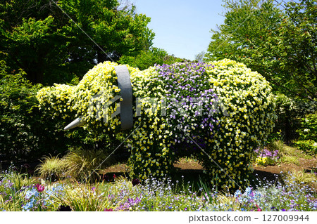 Elephants decorated with flowers in Yokohama Satoyama Elephants decorated with flowers in Yokohama Satoyama 127009944