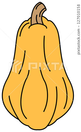 Pumpkin illustration drawn in flat colors 127010158