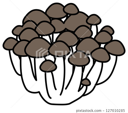 Shimeji mushroom illustration drawn in flat color 127010285