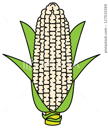 Corn illustration drawn in flat colors Corn illustration drawn in flat colors 127010369