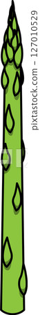 Asparagus illustration drawn in flat colors 127010529