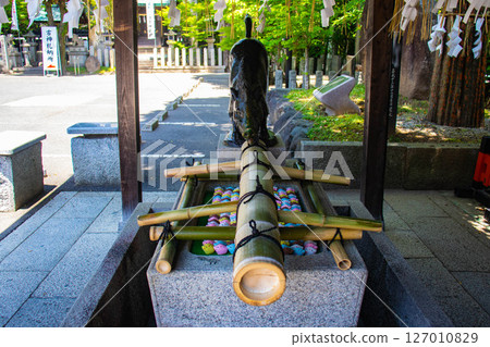 【京都風光】護王神社：腿部與臀部的強力守護神 127010829