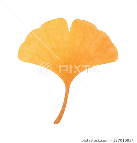 [Autumn] Ginkgo illustration 127010934