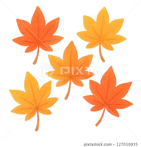 [Autumn] Autumn leaves illustration / Type 2 127010935