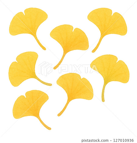 [Autumn] Ginkgo illustration/Type 2 127010936