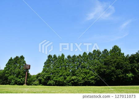 Sunny Akigase Park_11 Sunny Akigase Park_11 127011073