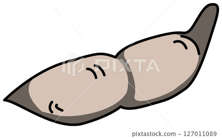 整個毛豆的彩色插圖 整個毛豆的彩色插圖 127011089