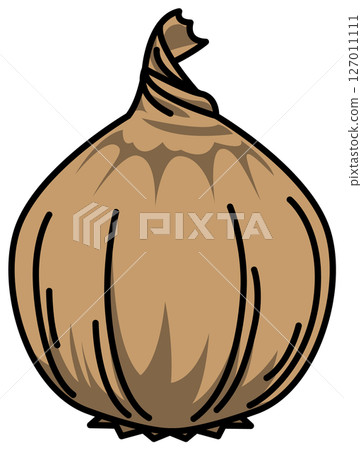 Colored whole onion illustration Colored whole onion illustration 127011111