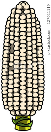 彩色全玉米插圖 彩色全玉米插圖 127011119