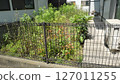 A private garden overgrown with grass in a rental property 127011255