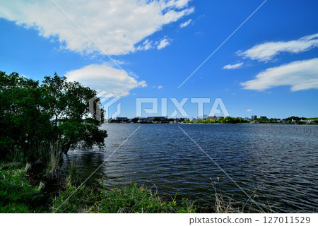 Lake Teganuma, Chiba Prefecture 127011529