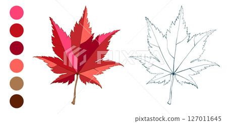 Set of hand-drawn fall colored maple leaves isolated on white background. Flat and line styles autumn vector illustration. Set of hand-drawn fall colored maple leaves isolated on white background. Flat and line styles autumn vector illustration. 127011645