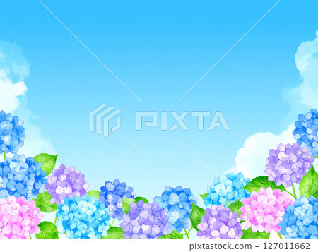 Hydrangea, blue sky, end of the rainy season 127011662