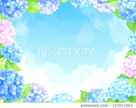 Hydrangea, blue sky, end of the rainy season 127011663