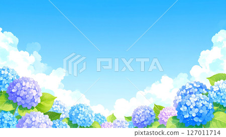 Hydrangea, blue sky, end of the rainy season 127011714