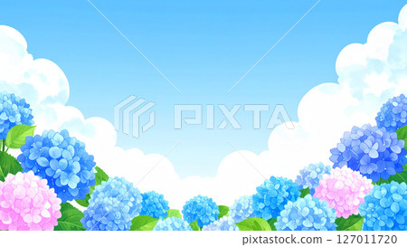 繡球花、藍天、雨季結束 127011720