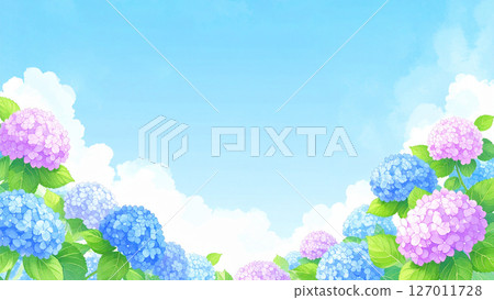 Hydrangea, blue sky, end of the rainy season 127011728