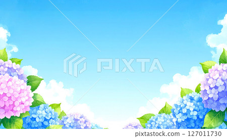 Hydrangea, blue sky, end of the rainy season 127011730