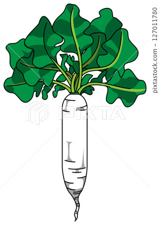 整個蘿蔔的彩色插圖 127011780