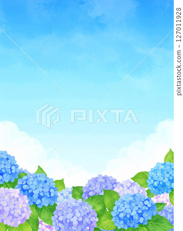 Hydrangea, blue sky, end of the rainy season 127011928