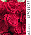 Bouquet of roses 127011987