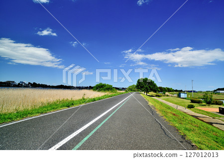 Chiba Prefecture Teganuma Cycling Road 127012013
