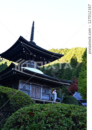 秋天的宇土觀音 127012167