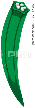 具有逼真陰影的秋葵的向量插圖 127012307