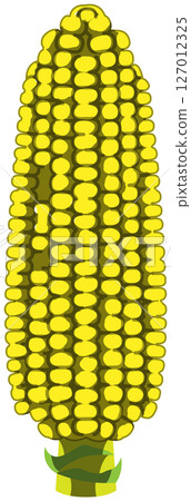 具有逼真陰影的玉米向量插圖 具有逼真陰影的玉米向量插圖 127012325
