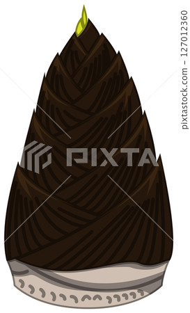 Vector illustration of bamboo shoots with realistic shadows 127012360