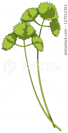 具有逼真陰影的三葉草的向量插圖 127012361